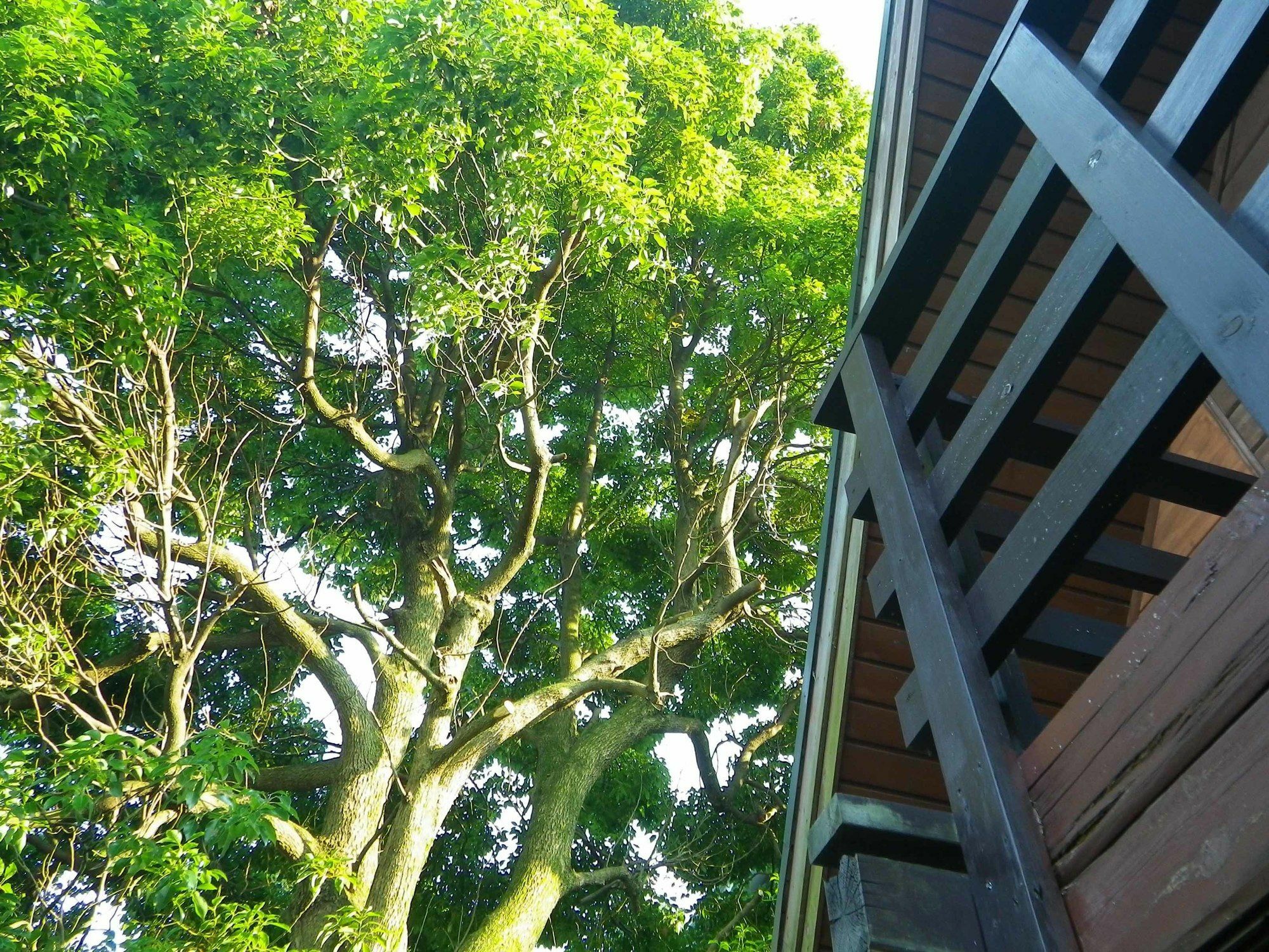มินามิ อะตามิ อิชิบังกัง Apartment อาตามิ ภายนอก รูปภาพ